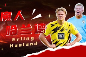 开云体育下载-斯图加特vs勒沃库