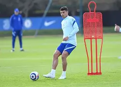 刚刚！布莱顿再遭质疑备战社区盾Ning关键时刻逆转，赛前上海海港备战社区盾的简单介绍